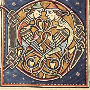 Initial capital letter D. Miniature from a Bible