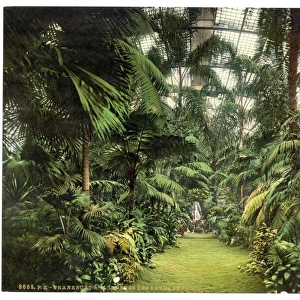Interior of Palm Houses, Frankfort on Main (i. e. Frankfurt a