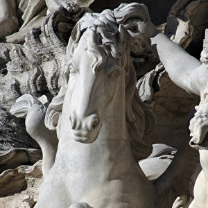 Italy. Rome. Fontana di Trevi. 18th century. Sea horse