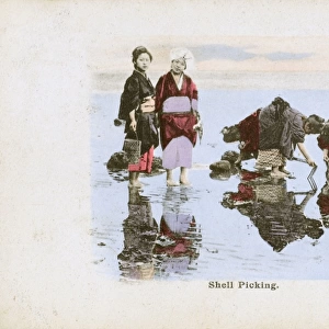 Japan - Women collecting mussels on the beach at low tide