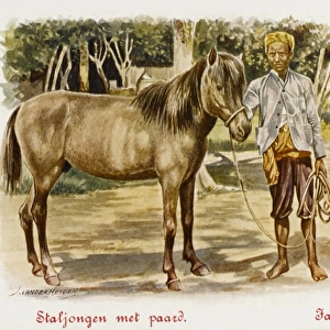 Java - Indonesia - Stableboy with horse