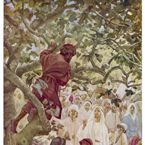 Jesus & Zacchaeus