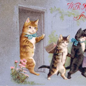 Kittens going to school on a birthday postcard
