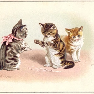 Three kittens playing cats cradle on a greetings card