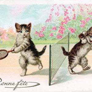 Kittens playing tennis on a French birthday postcard