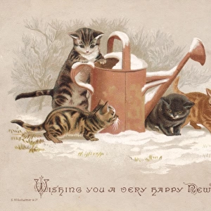 Four kittens with watering can on a New Year card