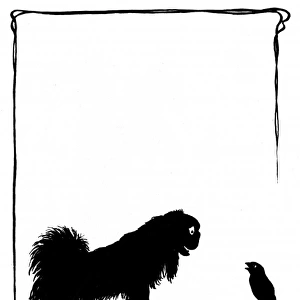 Koko the Pekinese dog with Jack Sparrow