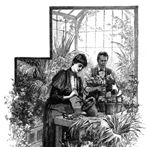 Lady repotting a plant