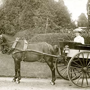 Lady in two-wheeled horse-drawn carriage