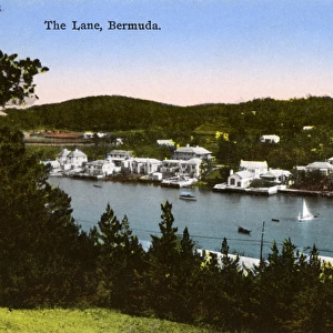 The Lane, Bermuda