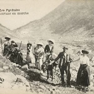 Large family group led through a valley in the Pyrenees