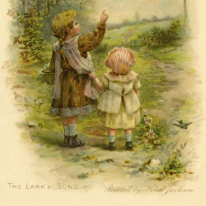 The larks song
