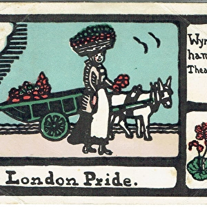 London Pride by Gladys Unger and A Neil Lyons