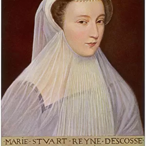 Historical Royalty Poster Print Collection: Mary, Queen of Scots