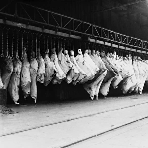 Meat in storage, World War I