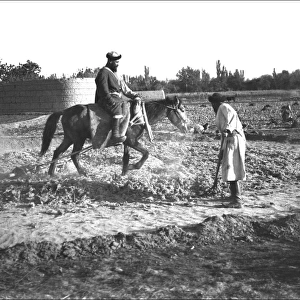 Men training a horse, Kashgar, western China