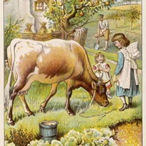Milking Cow / Children