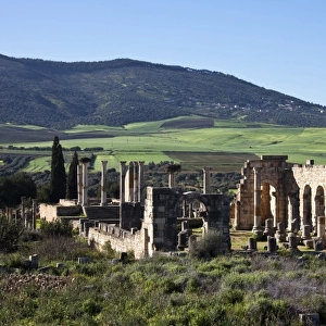 MOROCCO. Volubilis. Ruins of the Roman city