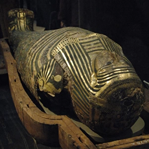 Mummy-case of Hornedjitef
