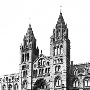 The Natural History Museum, 1881
