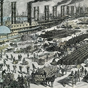 New Orleans (1881). Wharf on Mississippi river
