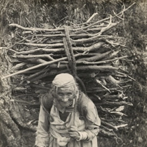 Old Woman carrying firewood - Northern India