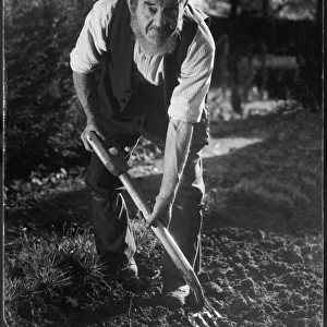 Old Yokel Gardener