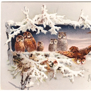 Eight owls on a New Year card