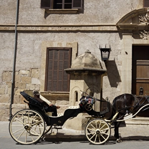 Palma, Mallorca - Horse Carriage at Almudiana Palace