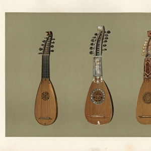 Pandurina or discant lute, and two Milanese mandoline lutes