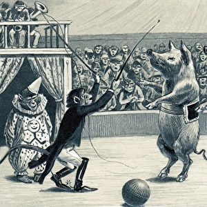Pigs and monkeys in a circus on a postcard