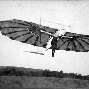 Pilcher Hawk in flight