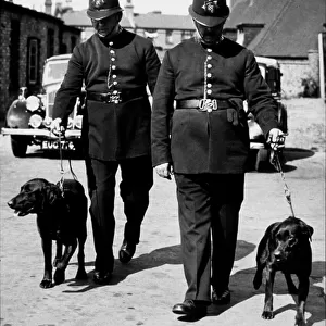 Two policemen with dogs
