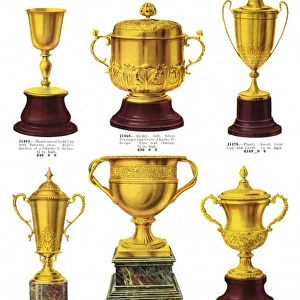 Presentation Cups