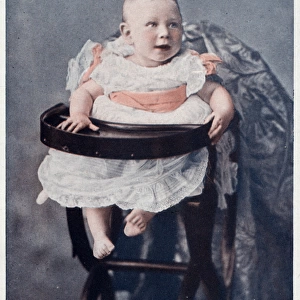 Prince Albert in high chair