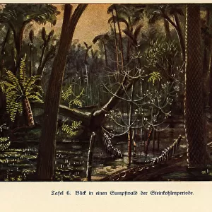 Reconstruction of a swamp forest in the Carboniferous era