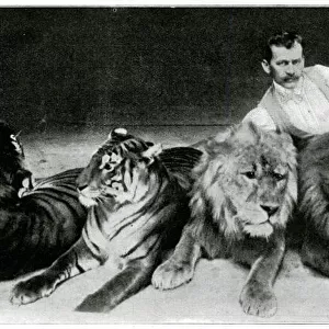 Richard Sawade with lions & tigers at the London Hippodrome