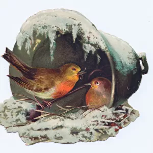 Robins nesting on a bell-shaped Christmas card