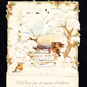 Robins in the snow on a Christmas and New Year card
