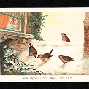 Four robins in the snow on a New Year card