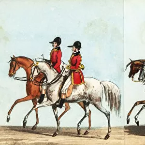 Royal Huntsmen, Yeoman, Prickers and Foresters in