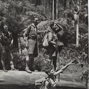 Scouts exploring the bush, Australia