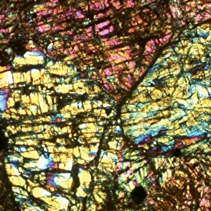 Section of Chassigny meteorite