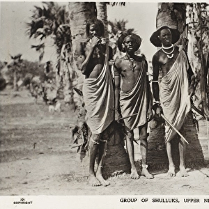 Shullucks of the Upper Nile (Khartoum)