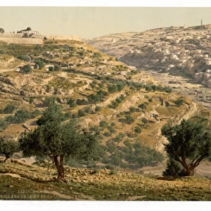 Siloam and the Tyrophean Valley, Jerusalem, Holy Land