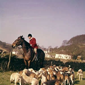 Silverton Foxhounds and huntsman, Devon