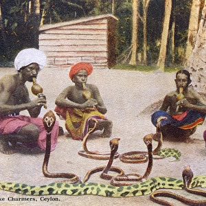 Snake Charmers / Ceylon