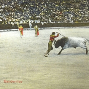 Spanish Bullfighting Series (5 / 12)