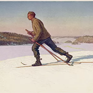 Sport / Winter / Skiing / Cros