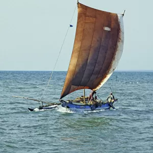 Sri Lankan outrigger boats - 2